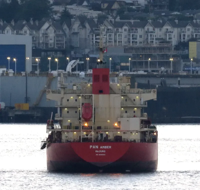PAN AMBER Bulk Carrier IMO 9626003 photo 4