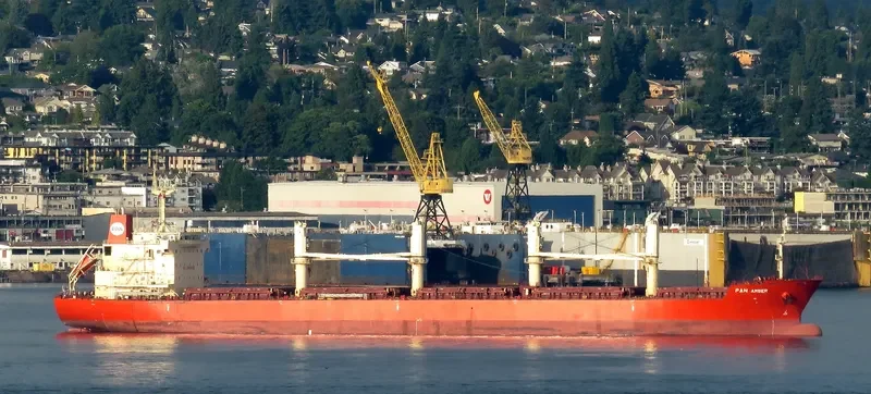 PAN AMBER Bulk Carrier IMO 9626003 photo 5