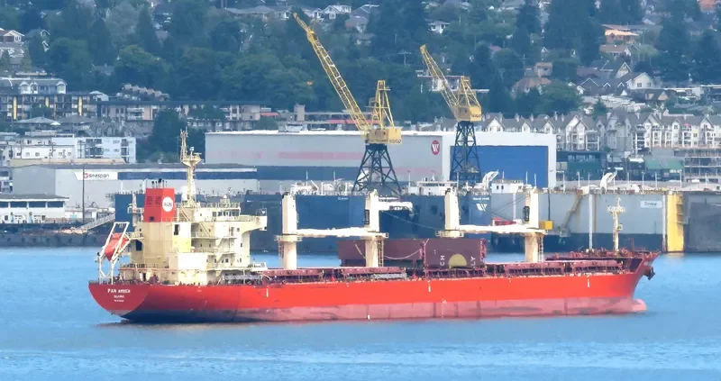 PAN AMBER Bulk Carrier IMO 9626003 photo 6