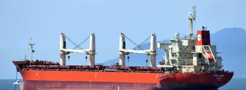 PAN AMBER Bulk Carrier IMO 9626003 photo 7