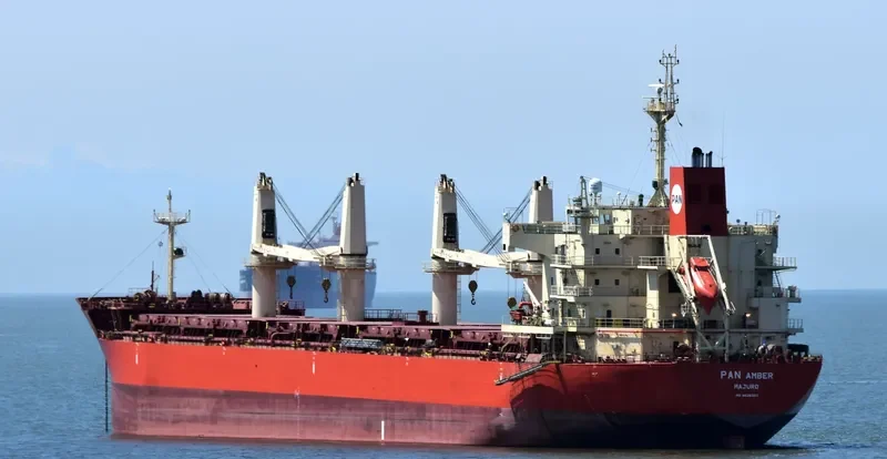 PAN AMBER Bulk Carrier IMO 9626003 photo 8