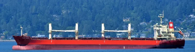 PAN AMBER Bulk Carrier IMO 9626003 photo 9