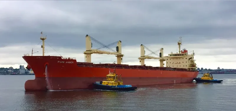 PAN AMBER Bulk Carrier IMO 9626003 photo 10