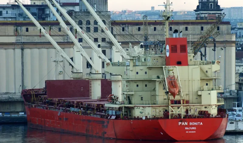 PAN BONITA Bulk Carrier IMO 9626015 photo 4