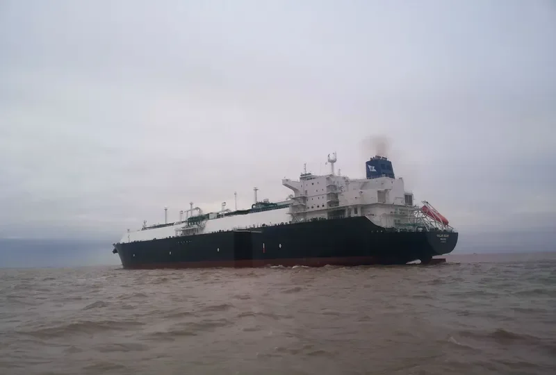 GOLAR BEAR General Cargo IMO 9626039