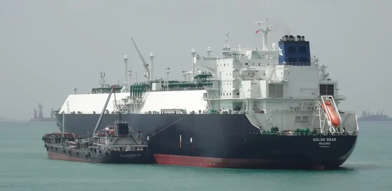 GOLAR BEAR General Cargo IMO 9626039 photo 3