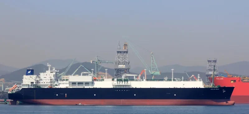GOLAR BEAR General Cargo IMO 9626039 photo 4