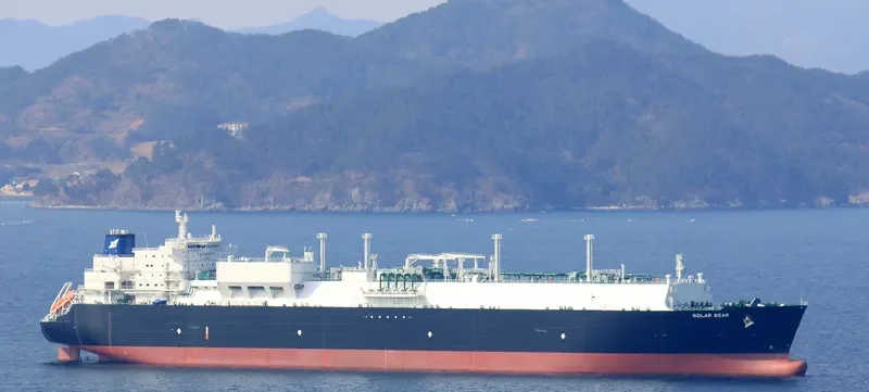 GOLAR BEAR General Cargo IMO 9626039 photo 5