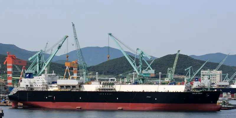 GOLAR BEAR General Cargo IMO 9626039 photo 6