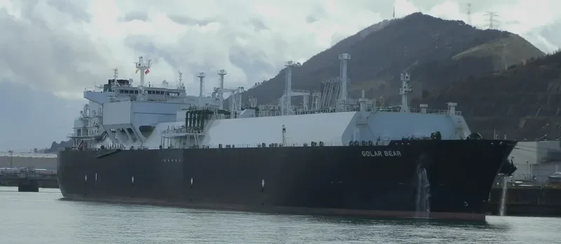 GOLAR BEAR General Cargo IMO 9626039 photo 7
