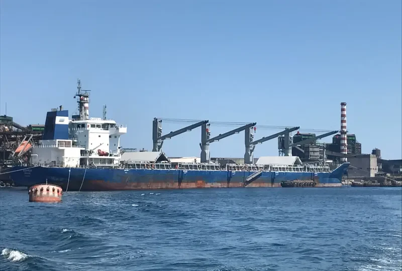 ALENTEJO Bulk Carrier IMO 9626118 photo 3