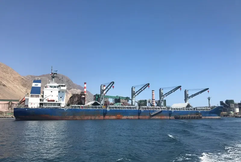 ALENTEJO Bulk Carrier IMO 9626118 photo 4