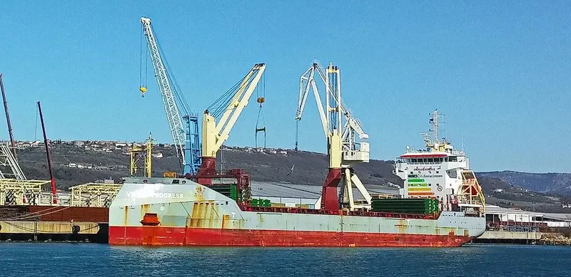 VECTIS PROGRESS General Cargo IMO 9626144 photo 10