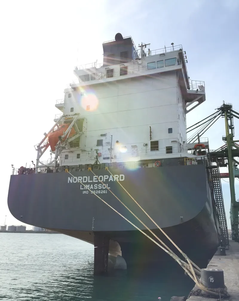 NORDLEOPARD Container Ship IMO 9626261 photo 5