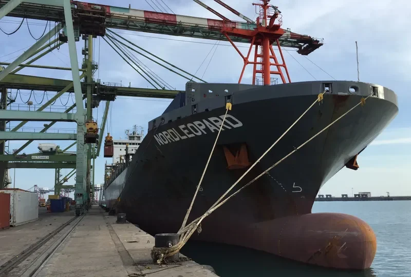 NORDLEOPARD Container Ship IMO 9626261 photo 6
