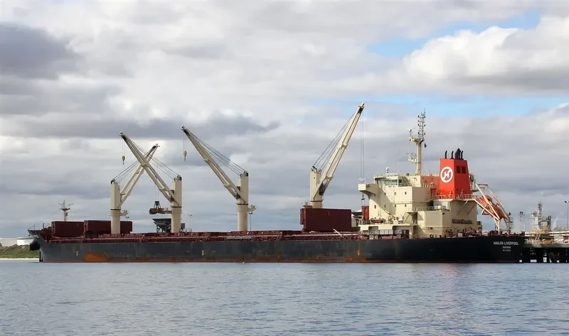 STRATEGIC TENACITY Bulk Carrier IMO 9626302