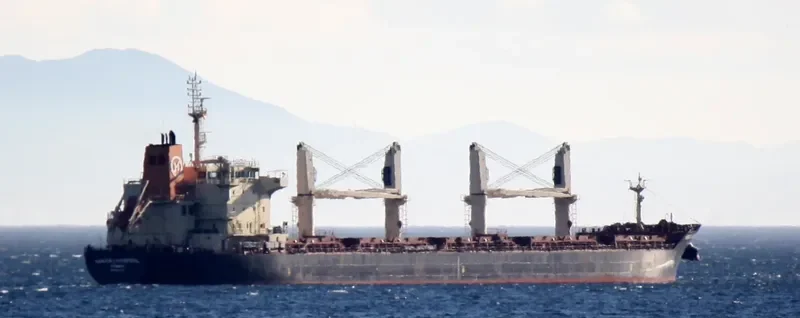 STRATEGIC TENACITY Bulk Carrier IMO 9626302 photo 4