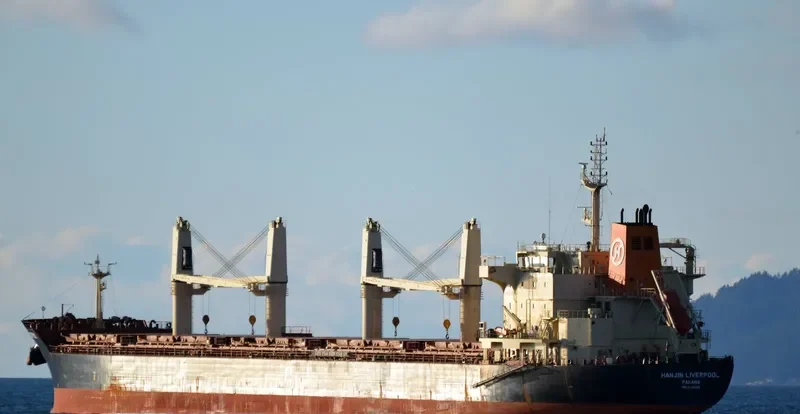 STRATEGIC TENACITY Bulk Carrier IMO 9626302 photo 6