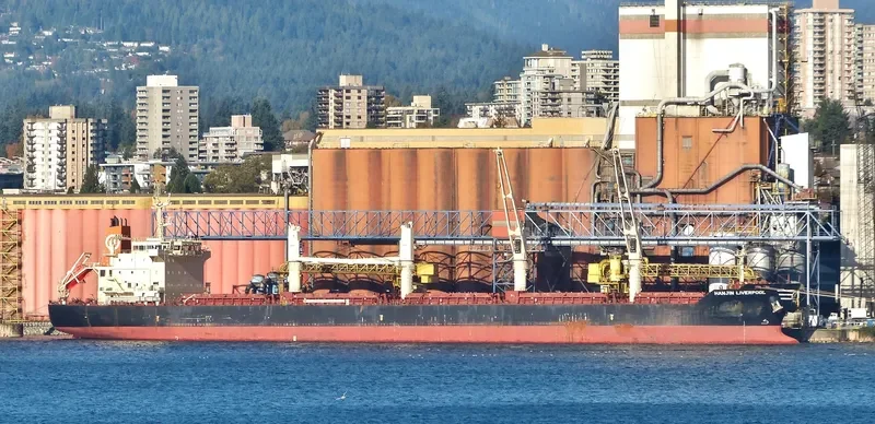 STRATEGIC TENACITY Bulk Carrier IMO 9626302 photo 7