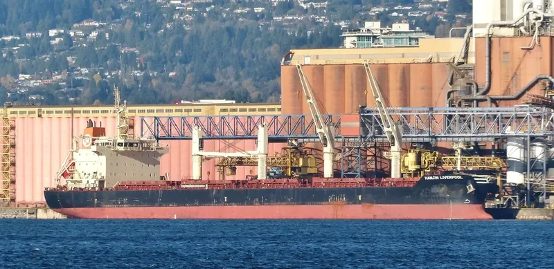 STRATEGIC TENACITY Bulk Carrier IMO 9626302 photo 8