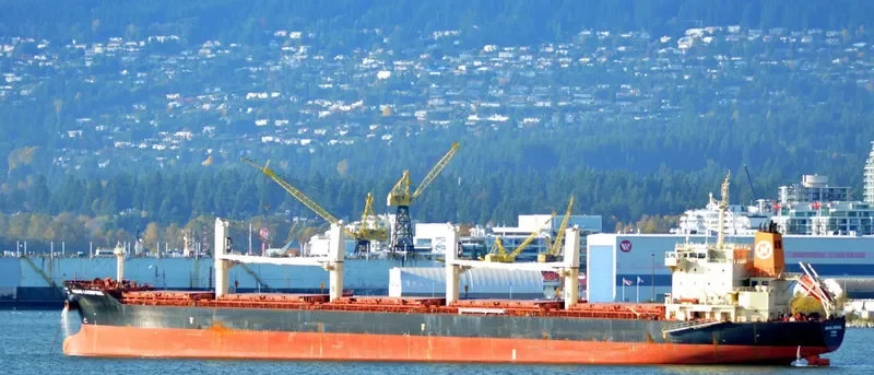 STRATEGIC TENACITY Bulk Carrier IMO 9626302 photo 9