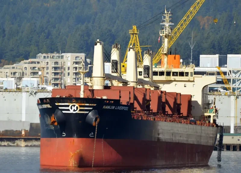 STRATEGIC TENACITY Bulk Carrier IMO 9626302 photo 10