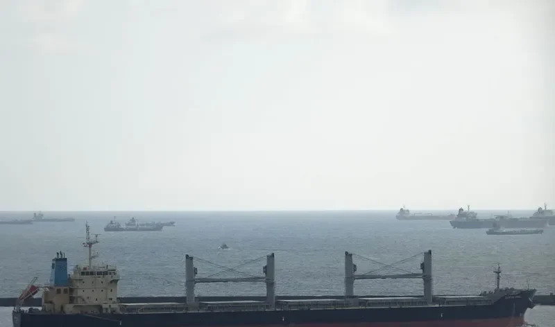 OCEAN OPAL Bulk Carrier IMO 9626364 photo 2