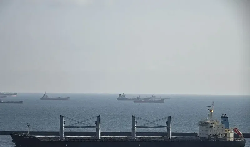 OCEAN OPAL Bulk Carrier IMO 9626364 photo 3