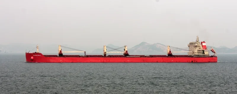 OCEAN OPAL Bulk Carrier IMO 9626364 photo 4