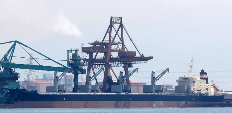 OCEAN OPAL Bulk Carrier IMO 9626364 photo 5