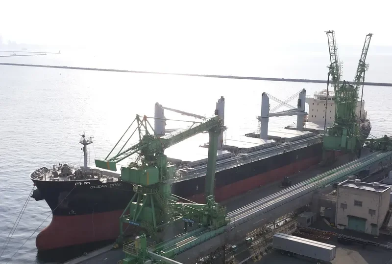 OCEAN OPAL Bulk Carrier IMO 9626364 photo 7