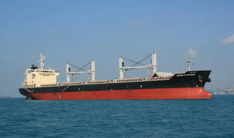 APOGEE WONDER Bulk Carrier IMO 9626376