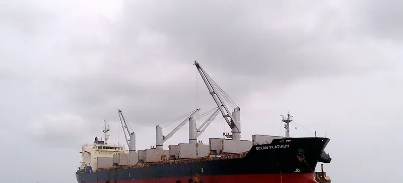 APOGEE WONDER Bulk Carrier IMO 9626376 photo 2