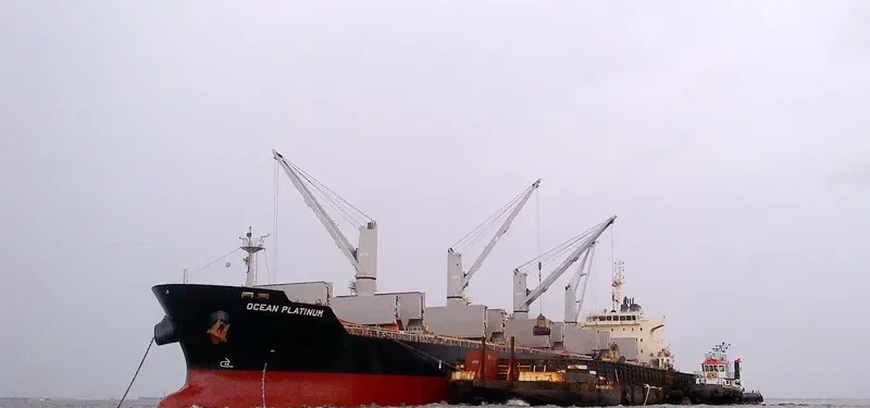 APOGEE WONDER Bulk Carrier IMO 9626376 photo 3