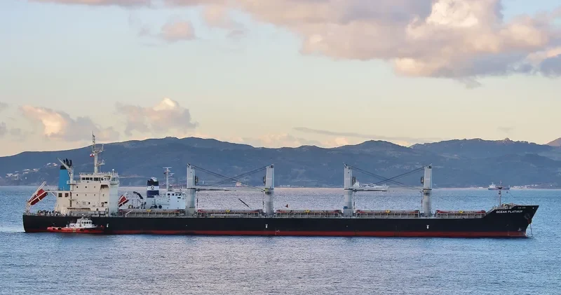 APOGEE WONDER Bulk Carrier IMO 9626376 photo 4