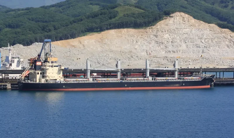 APOGEE WONDER Bulk Carrier IMO 9626376 photo 5