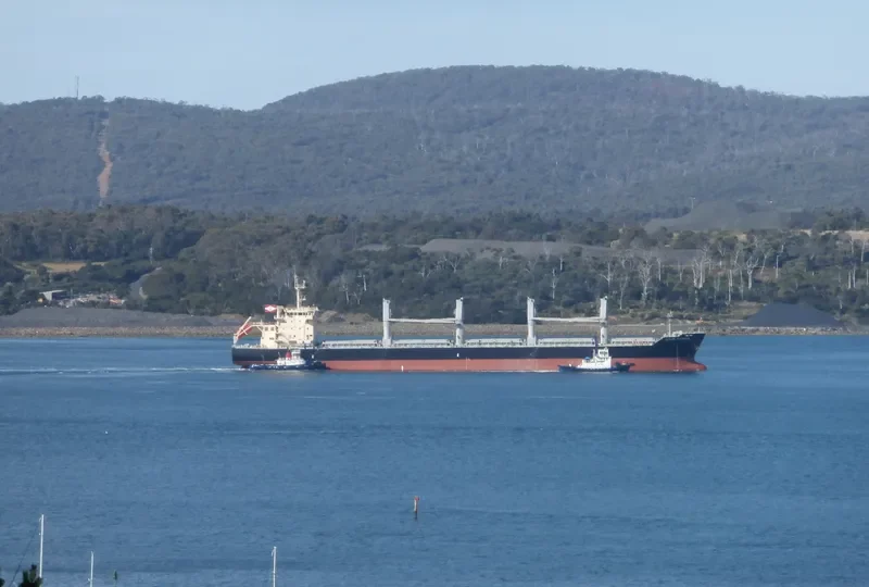 APOGEE WONDER Bulk Carrier IMO 9626376 photo 9