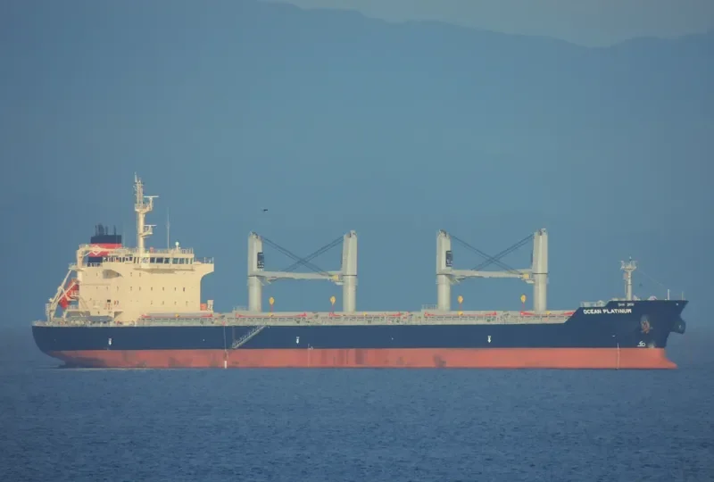APOGEE WONDER Bulk Carrier IMO 9626376 photo 10