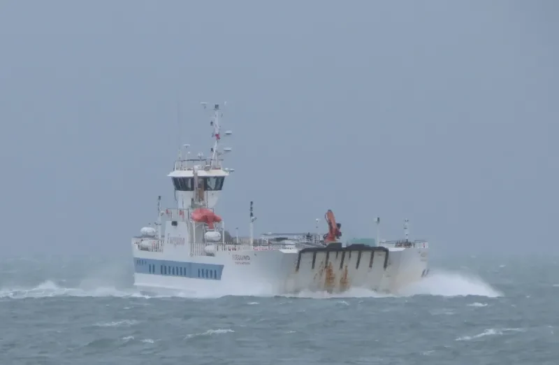 FUEGUINO Ro-Ro IMO 9626479 photo 3