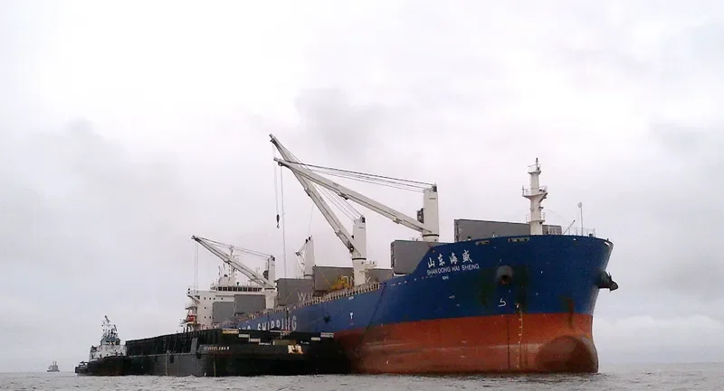 SHANDONG HAI SHENG Bulk Carrier IMO 9626546