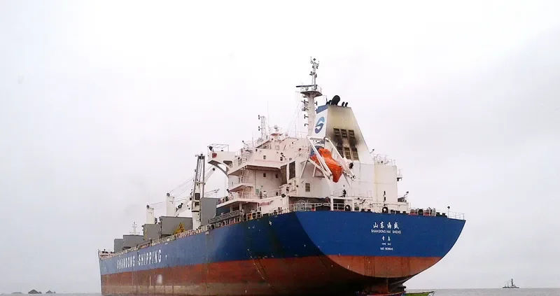 SHANDONG HAI SHENG Bulk Carrier IMO 9626546 photo 3