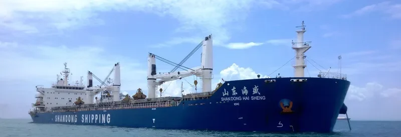 SHANDONG HAI SHENG Bulk Carrier IMO 9626546 photo 6