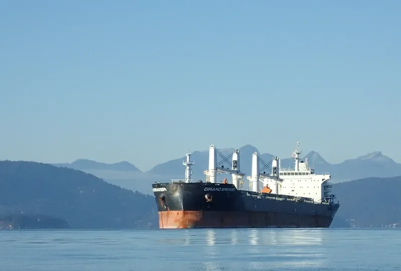 AQUARIUS HONOR Bulk Carrier IMO 9626572 photo 6