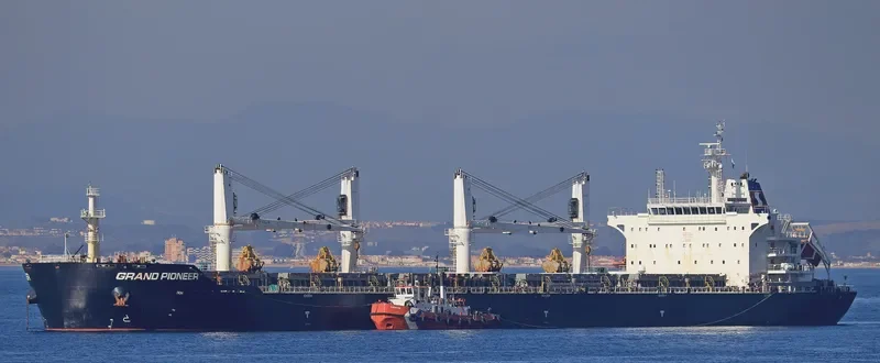 POLYWORLD Bulk Carrier IMO 9626584
