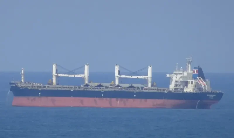 POLYWORLD Bulk Carrier IMO 9626584 photo 2