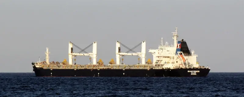 POLYWORLD Bulk Carrier IMO 9626584 photo 3