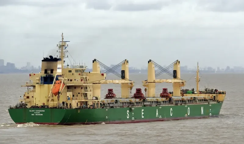 XIN ZHOU XING Bulk Carrier IMO 9626596