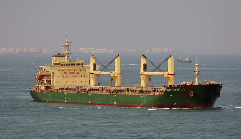 XIN ZHOU XING Bulk Carrier IMO 9626596 photo 2