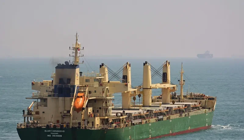 XIN ZHOU XING Bulk Carrier IMO 9626596 photo 3