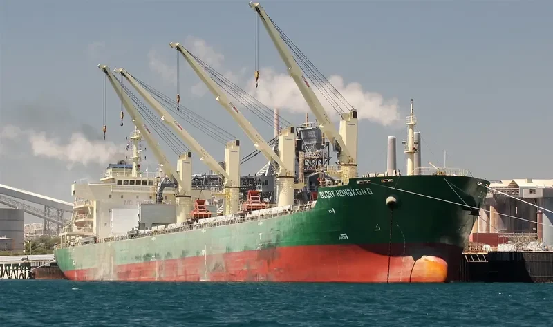 XIN ZHOU XING Bulk Carrier IMO 9626596 photo 4